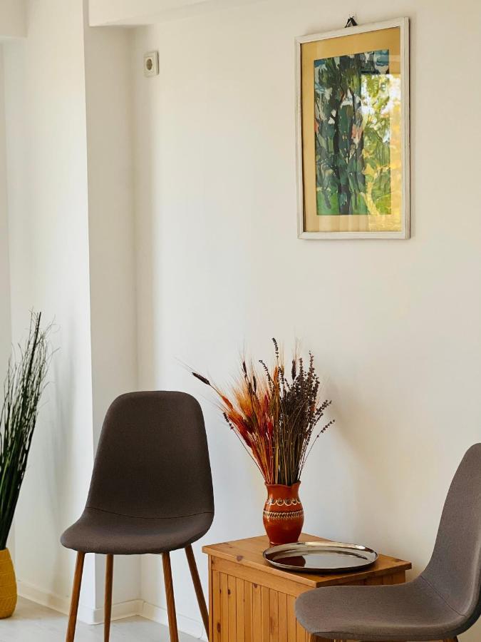 The Airport Loft Apartment Otopeni Exterior photo