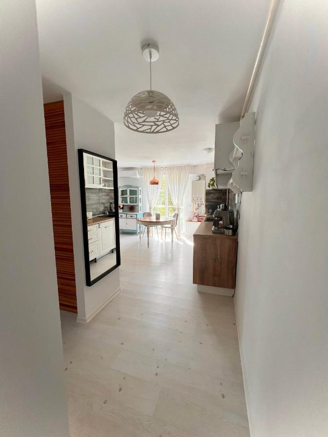 The Airport Loft Apartment Otopeni Exterior photo